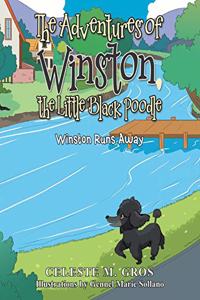 Adventures of Winston, the Little Black Poodle