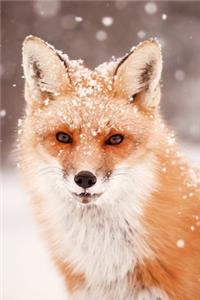 Furry Fox In The Snow 2020 Weekly Monthly Planner