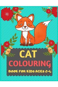 Cat Colouring Book For Kids Ages 2-4