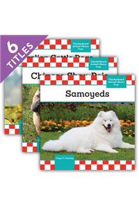Dogs Set 13 (Set)