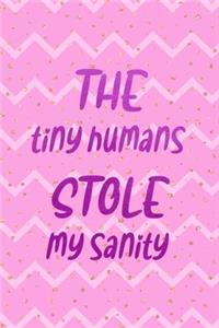 The Tiny Humans Stole My Sanity: Nanny Notebook Journal Composition Blank Lined Diary Notepad 120 Pages Paperback Stripes