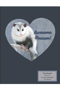 Awesome Possum!