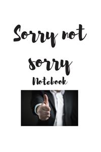 Sorry not sorry notebook