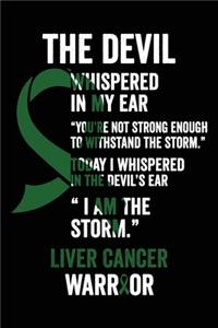 Liver Cancer Notebook