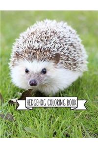 Hedgehog Coloring Book