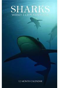 Sharks Weekly 5 X 8 Planner 2019