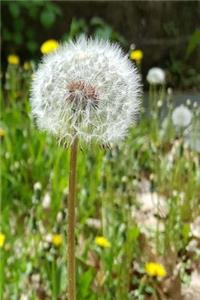 2019 Daily Planner Dandelion Seeds Flower 384 Pages