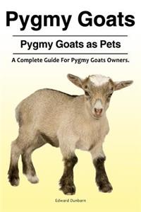 Pygmy Goats. Pygmy Goats as Pets