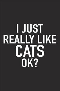 I Just Really Like Cats Ok?