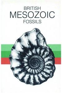 British Mesozoic Fossils