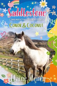 Saddlestone Connemara Pony Listening School | Conor and Coconut