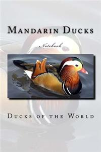 Mandarin Ducks