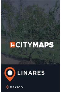 City Maps Linares Mexico
