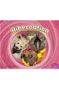 Hibernation
