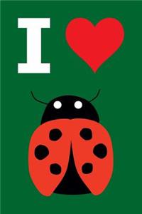 Blank Notebook - 100 Pages - I Love Ladybugs