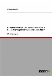 Selbstbewußtsein und Selbsterkenntnis in Sören Kierkegaards Krankheit zum Tode