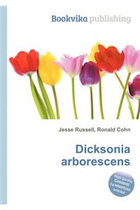 Dicksonia Arborescens