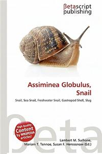 Assiminea Globulus, Snail