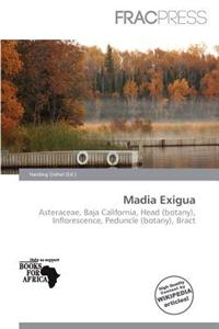 Madia Exigua