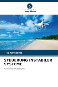 Steuerung Instabiler Systeme