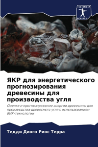 ЯКР для энергетического прогнозирования