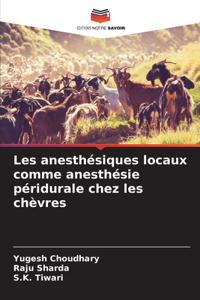 Les anesthésiques locaux comme anesthésie péridurale chez les chèvres