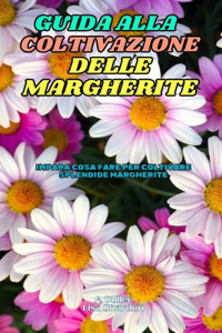 Guida alla Coltivazione di Margherite