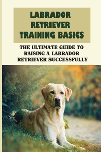 Labrador Retriever Training Basics