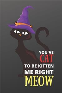 You've Cat to Be Kitten Me Right Meow