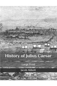 History of Julius Caesar: Large Print