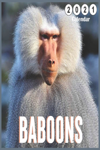 Baboons 2021 Calendar