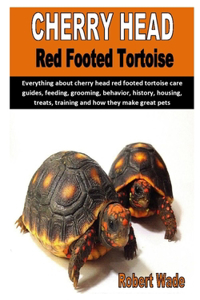 Cherry Head Red Footed Tortoise