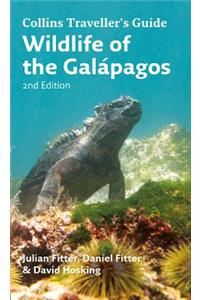 Wildlife of the Galapagos