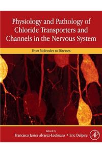 Physiology and Pathology of Chloride Transporters and Channels in the Nervous System: From Molecules to Diseases