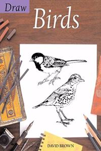 Draw Birds (Draw Books) Paperback â€“ 1 January 2004