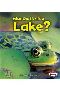 What Can Live in a Lake?