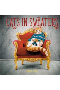 Cats in Sweaters