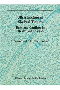 Ultrastructure of Skeletal Tissues