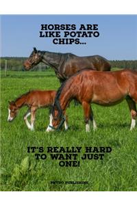 Horses Are Like Potato Chips...