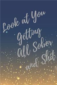 Look at You Getting All Sober and Shit