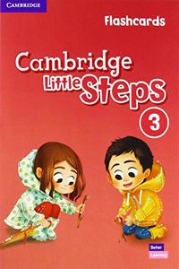 Cambridge Little Steps Level 3 Flashcards