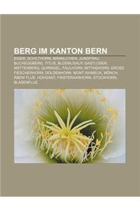 Berg Im Kanton Bern