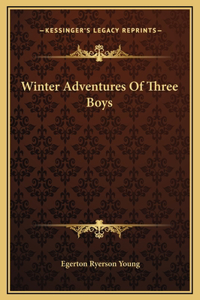 Winter Adventures Of Three Boys