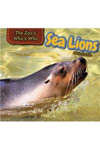 Sea Lions