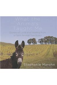 What the Animals Taught Me