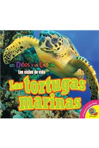 Tortugas Marinas