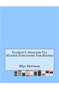 Stability Analysis Via Matrix Functions For Bizzies