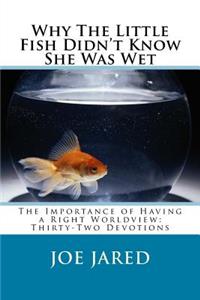 Why The Little Fish Didn't Know She Was Wet