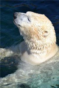 Polar Bear Enjoying a Swim Animal Journal