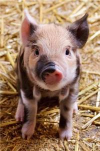 Adorable Little Piglet Journal